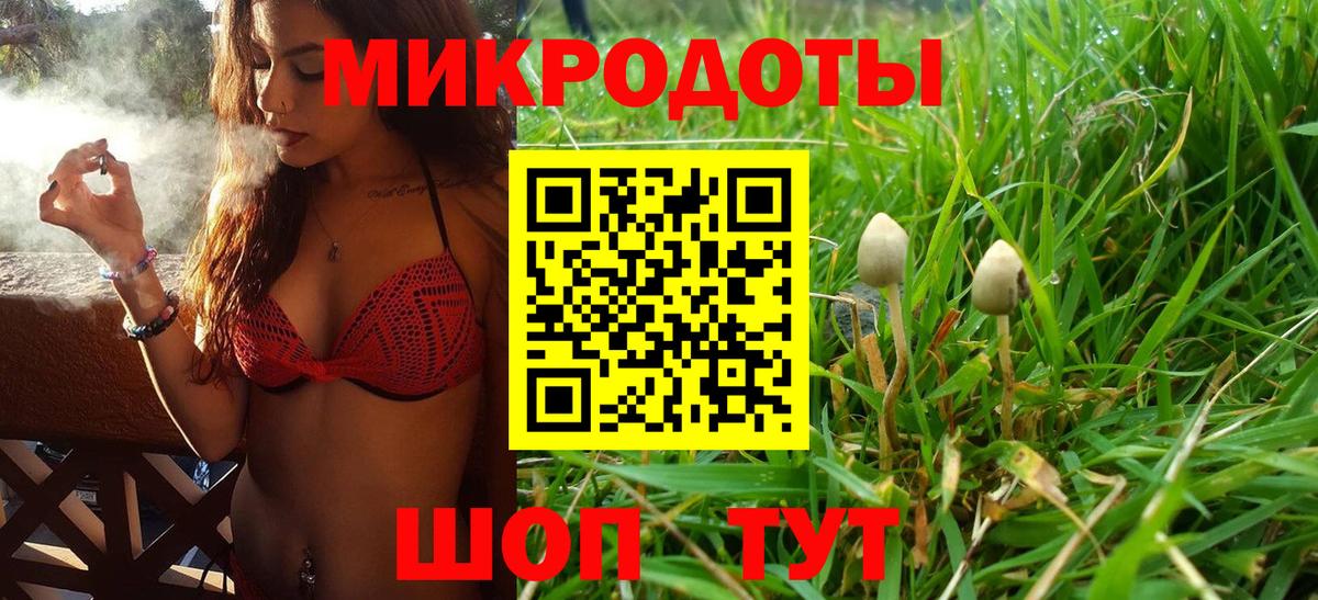 Галлюциногенные грибы Psilocybine cubensis  Вход с VPN  Прокопьевск 