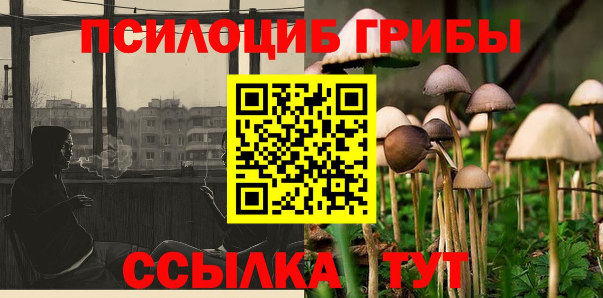 Псилоцибиновые грибы мухоморы Прокопьевск